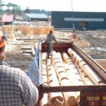 Yard 6